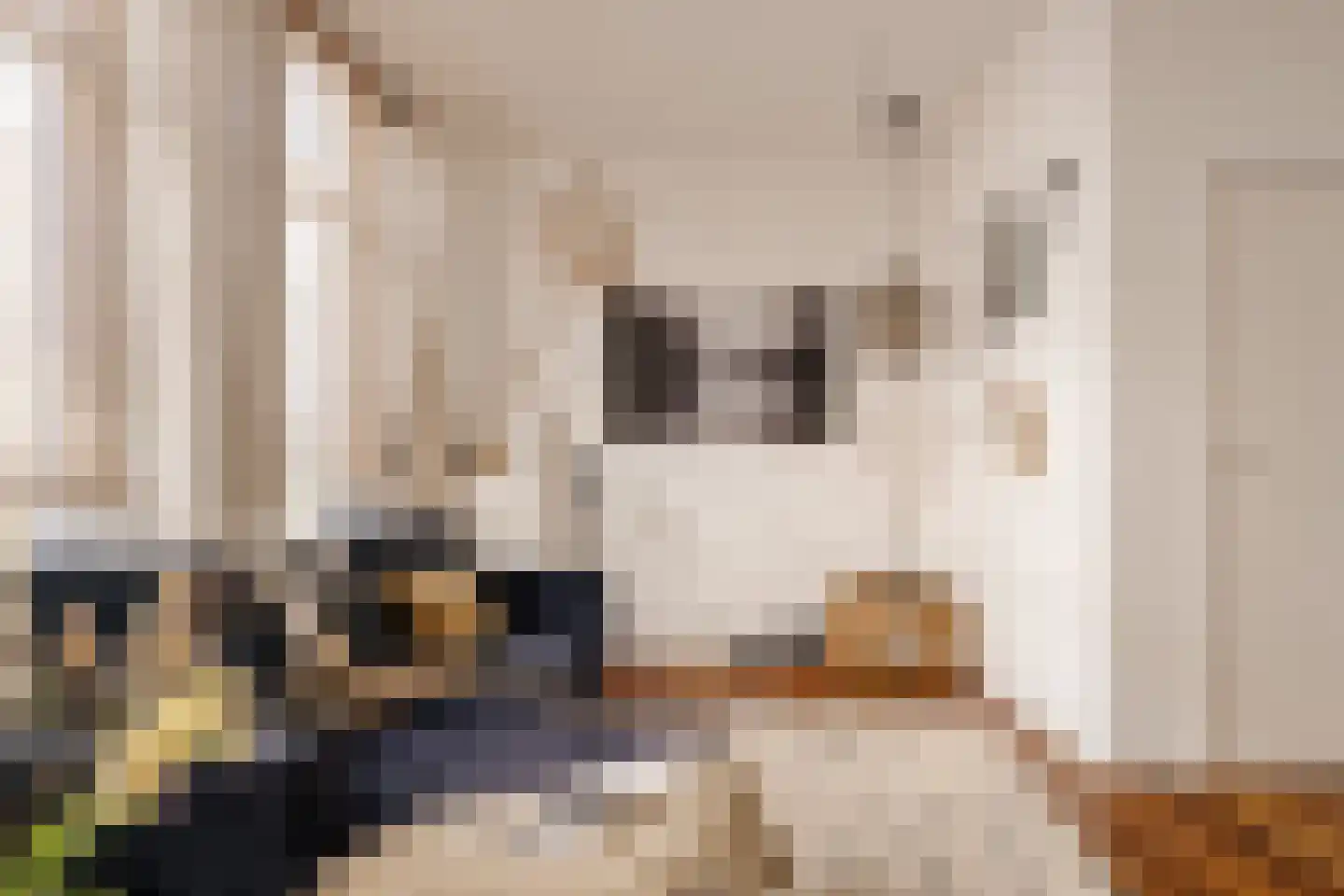 Nieuwe Nieuwstraat 25 1 Amsterdam thumbnail 11