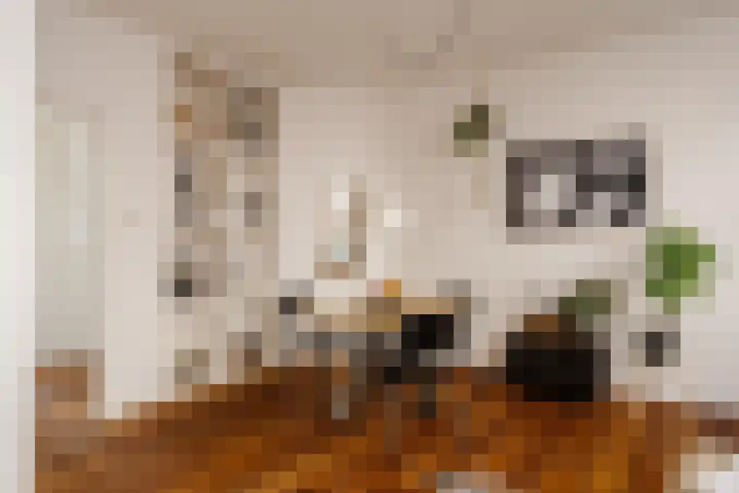 Nieuwe Nieuwstraat 25 1 Amsterdam thumbnail 13