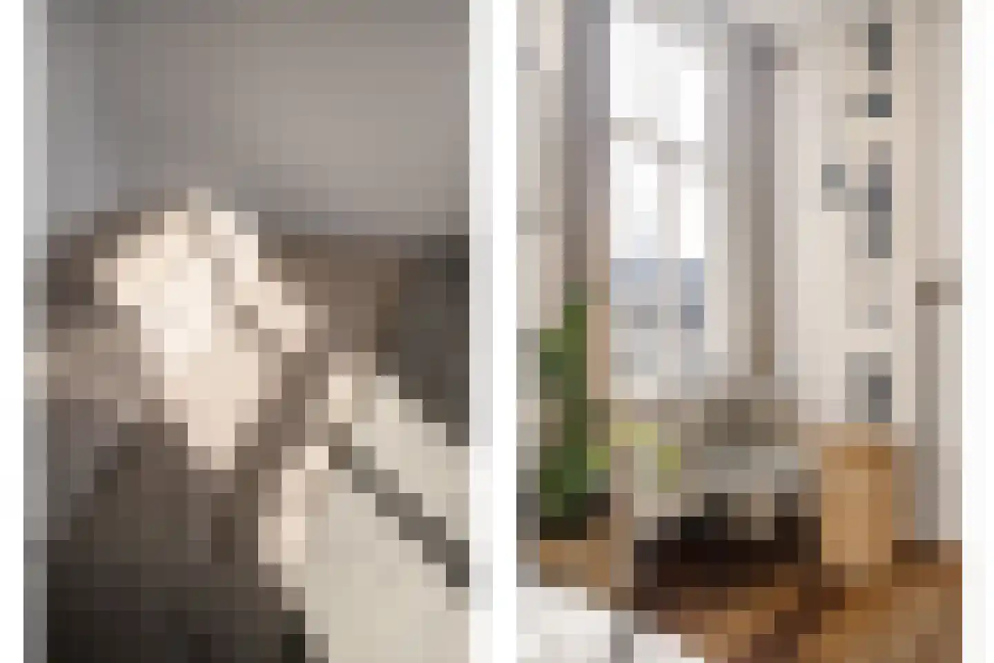 Nieuwe Nieuwstraat 25 2 Amsterdam thumbnail 25