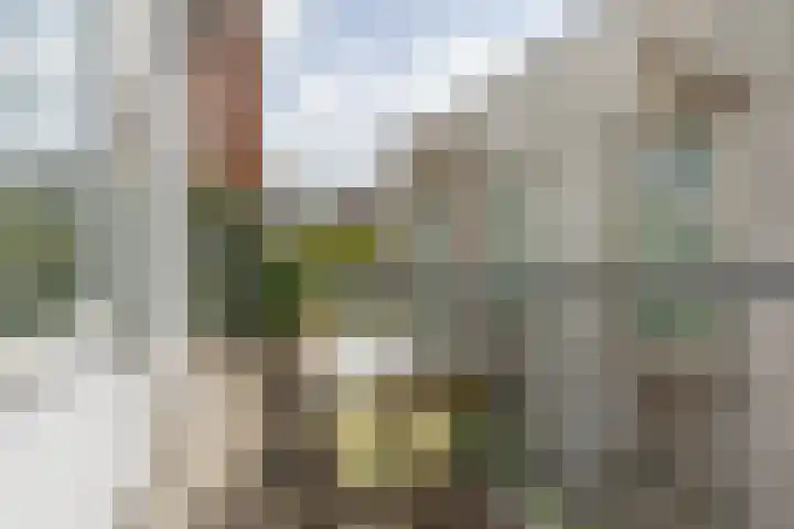 Nieuwe Nieuwstraat 33 Amsterdam thumbnail 13