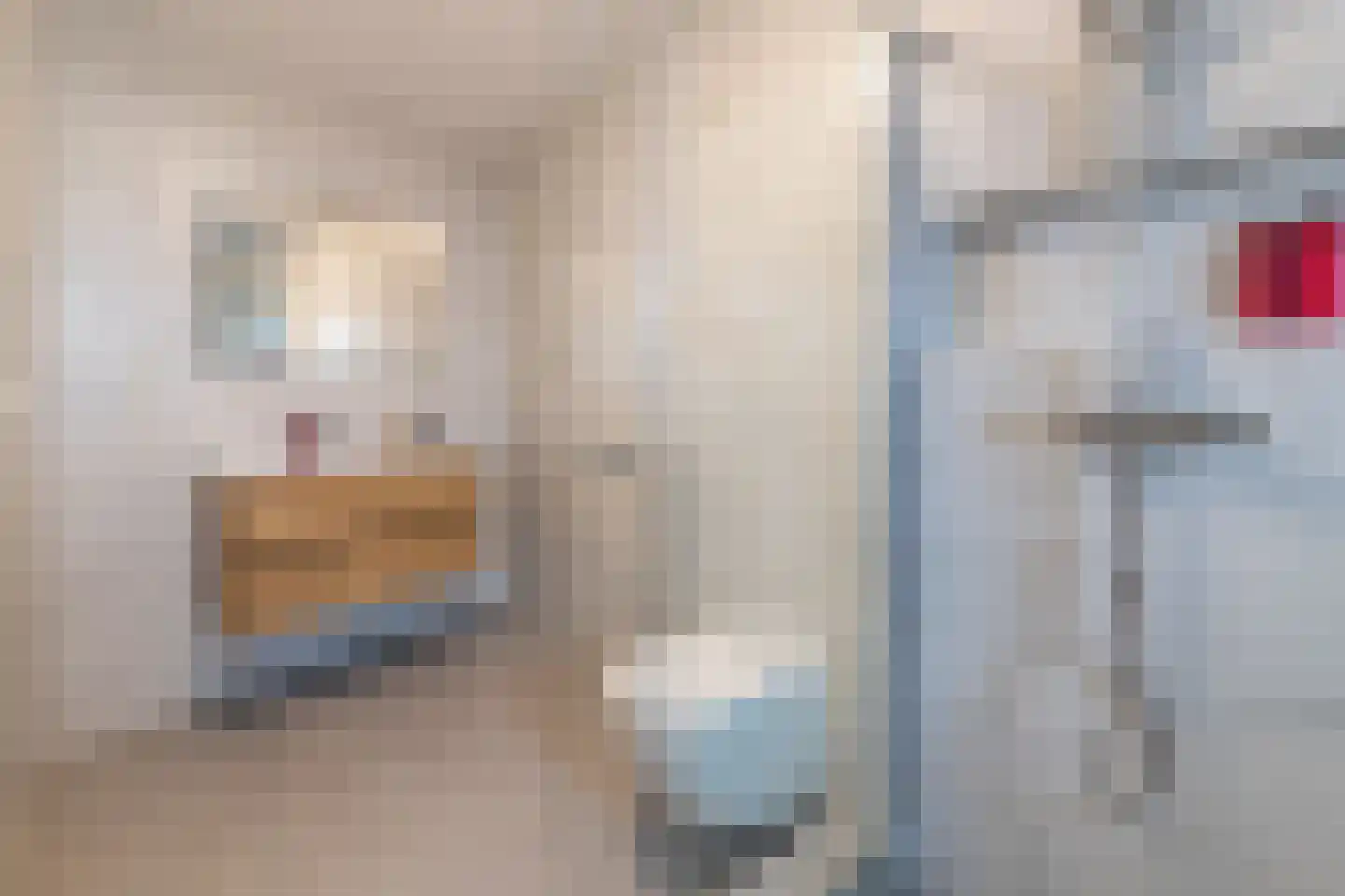 Nieuwe Nieuwstraat 4 B Amsterdam thumbnail 21