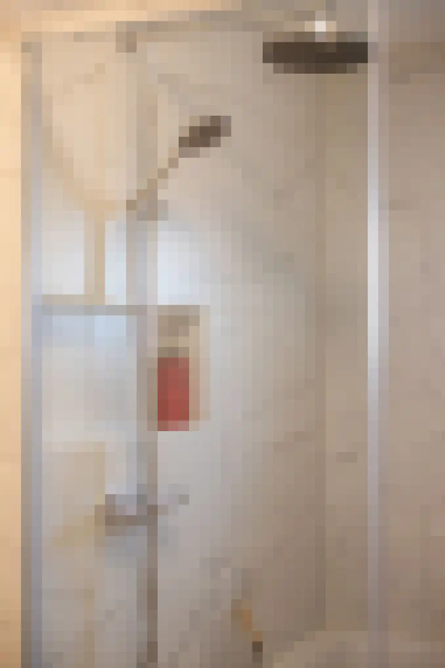 Nieuwe Nieuwstraat 4 C Amsterdam thumbnail 20