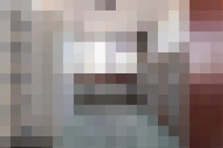 Nieuwe Nieuwstraat 55 Boxtel thumbnail 31