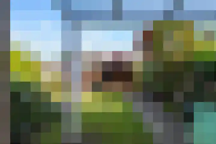 Nieuwe Nieuwstraat 55 Boxtel thumbnail 43