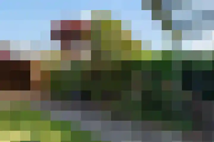 Nieuwe Nieuwstraat 55 Boxtel thumbnail 44