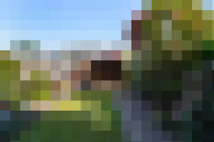 Nieuwe Nieuwstraat 55 Boxtel thumbnail 45