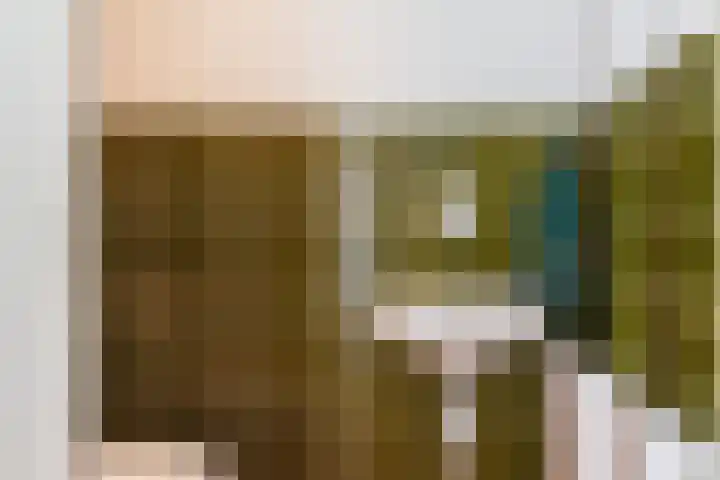 Nieuwe Nieuwstraat 55 Boxtel thumbnail 6