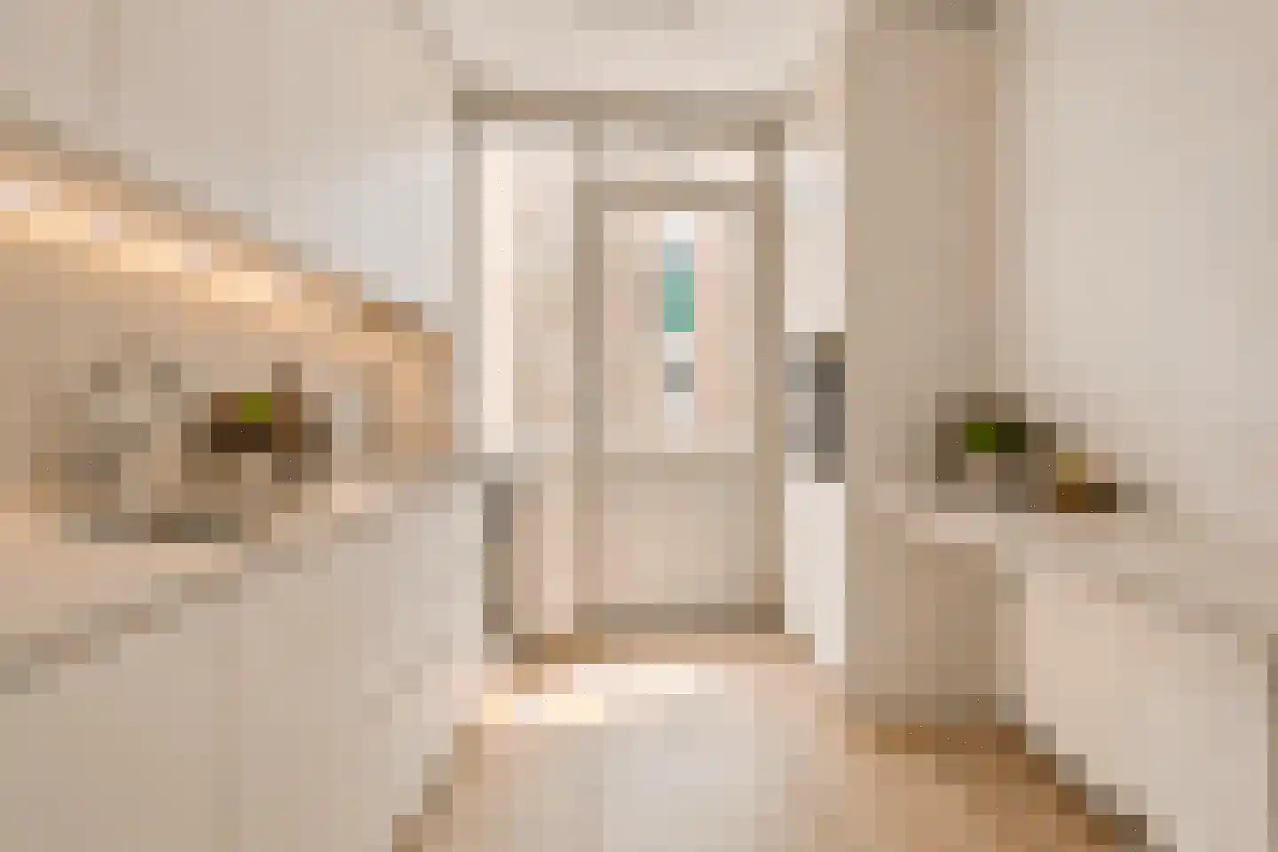 Nieuwe Nieuwstraat 6 D Amsterdam thumbnail 11