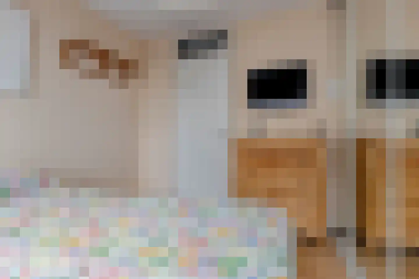 Nieuwe Nieuwstraat 6 D Amsterdam thumbnail 15