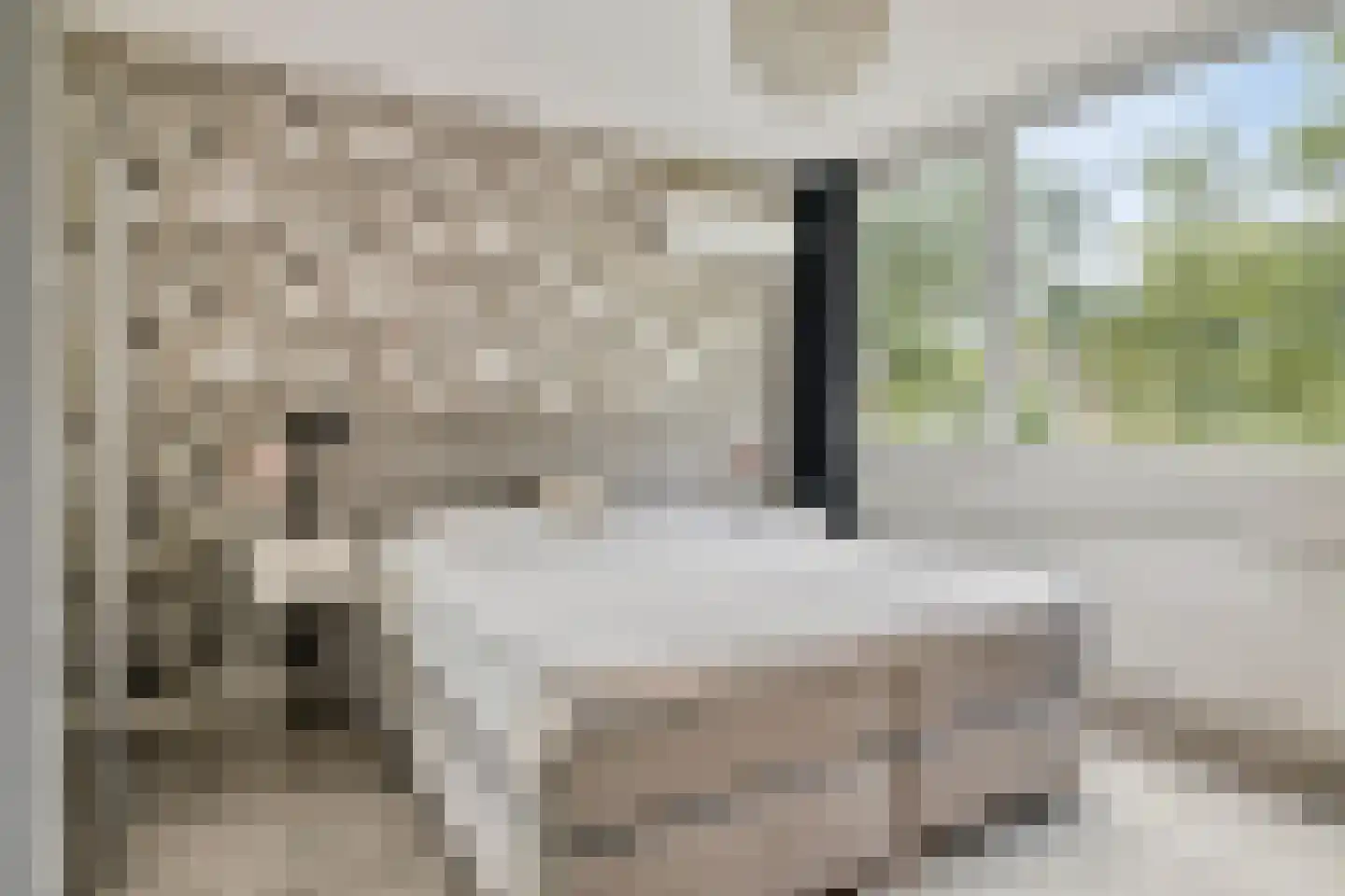 Nieuwe Nieuwstraat 77 Boxtel thumbnail 11