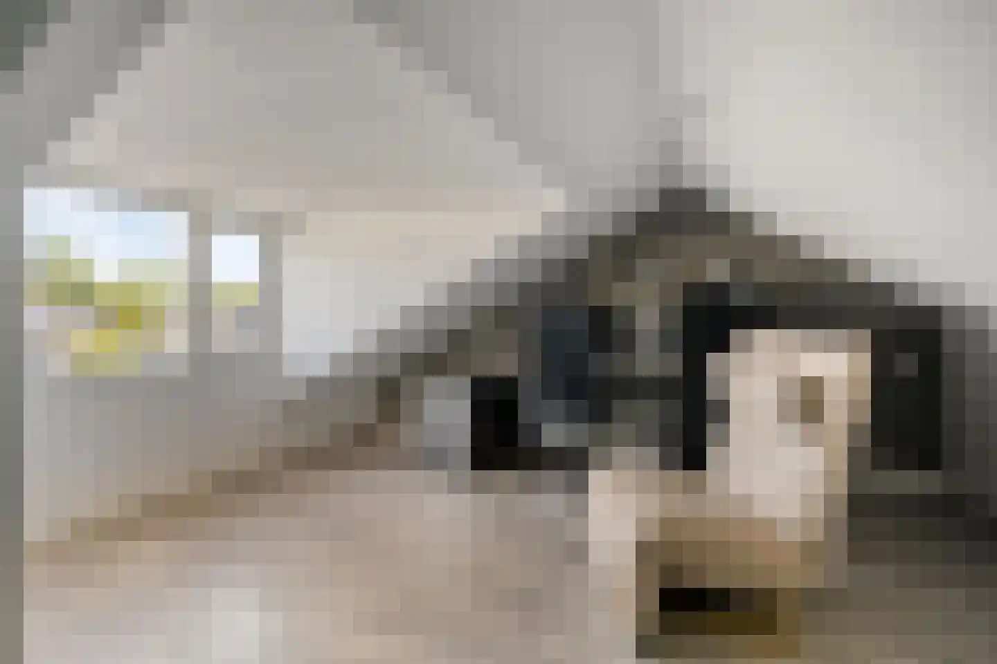 Nieuwe Nieuwstraat 77 Boxtel thumbnail 18