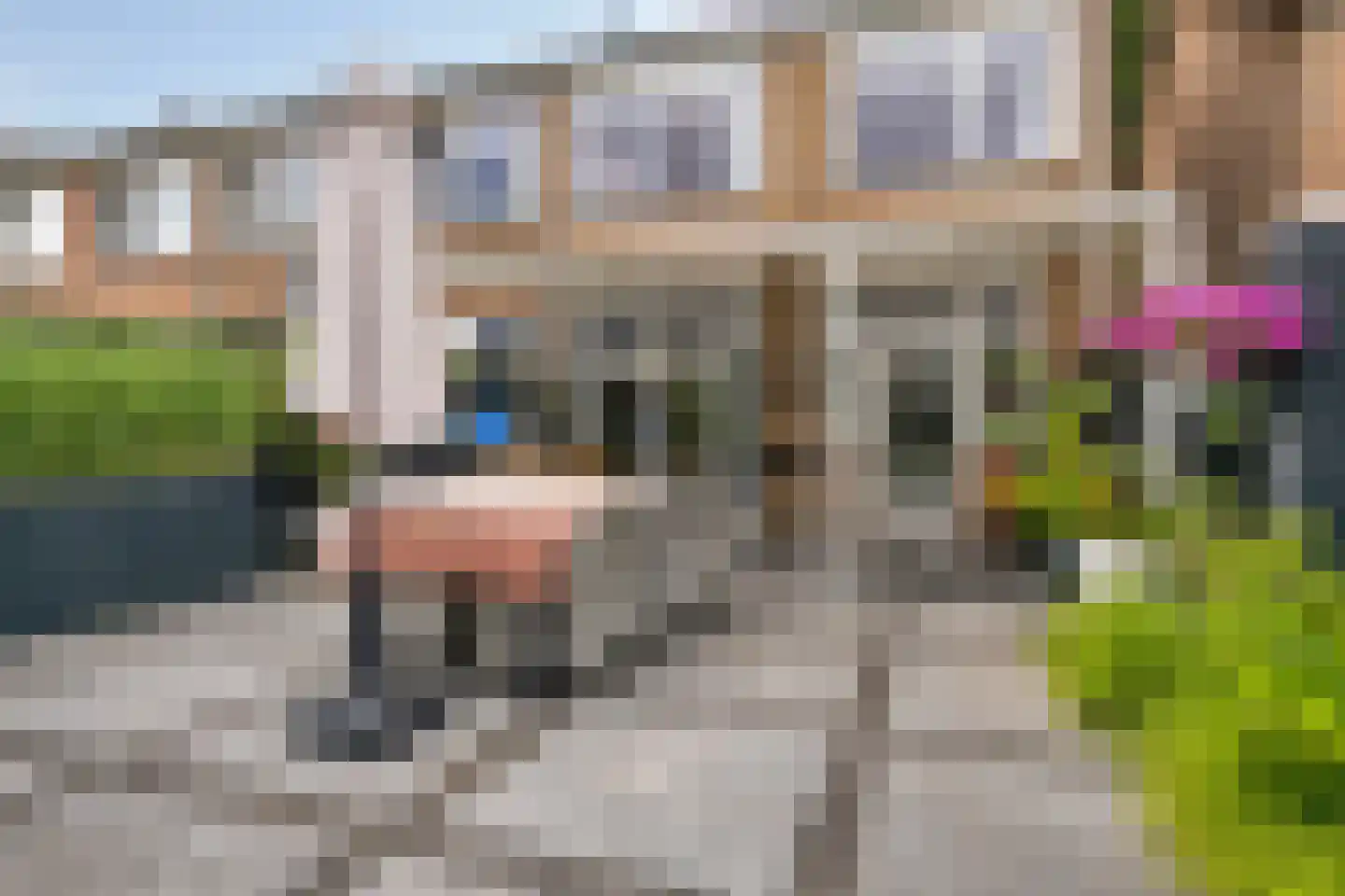 Nieuwe Nieuwstraat 77 Boxtel thumbnail 22