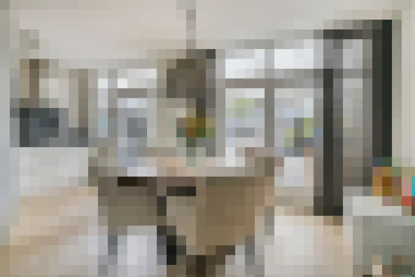 Nieuwe Nieuwstraat 77 Boxtel thumbnail 5