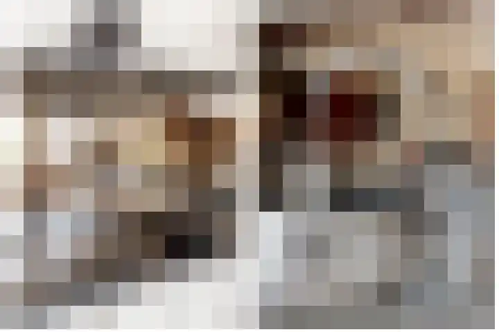 Nieuwe Nieuwstraat 81 Boxtel thumbnail 10