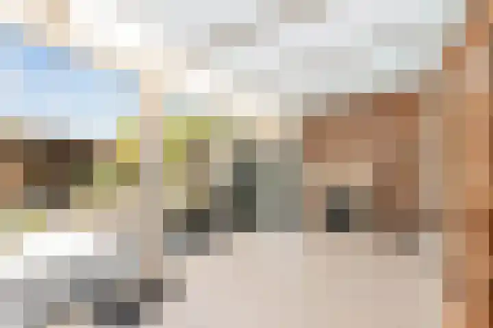 Nieuwe Nieuwstraat 81 Boxtel thumbnail 11