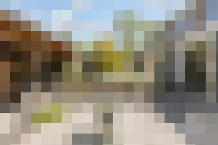 Nieuwe Nieuwstraat 81 Boxtel thumbnail 15