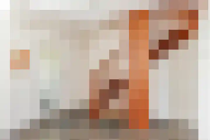 Nieuwe Nieuwstraat 81 Boxtel thumbnail 18