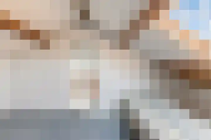 Nieuwe Nieuwstraat 81 Boxtel thumbnail 28