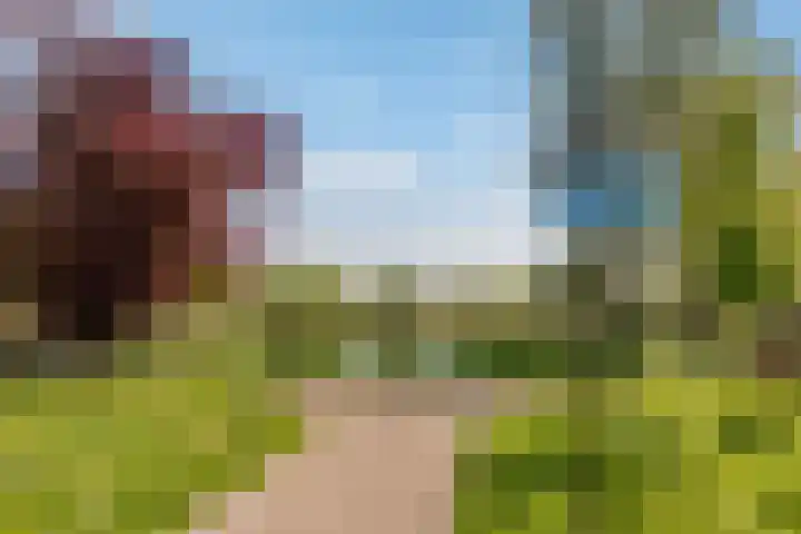 Nieuwe Nieuwstraat 81 Boxtel thumbnail 30