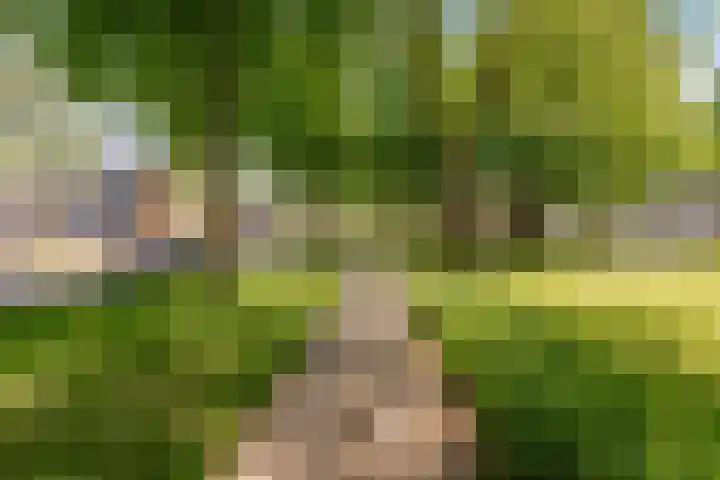 Nieuwe Nieuwstraat 81 Boxtel thumbnail 31