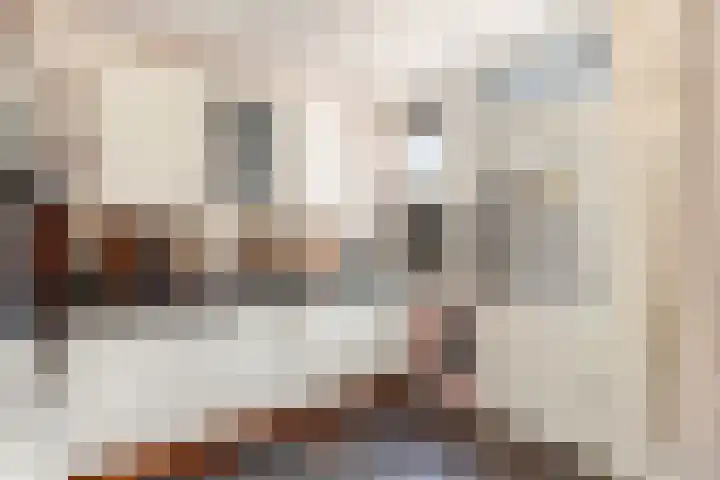 Nieuwe Nieuwstraat 81 Boxtel thumbnail 9