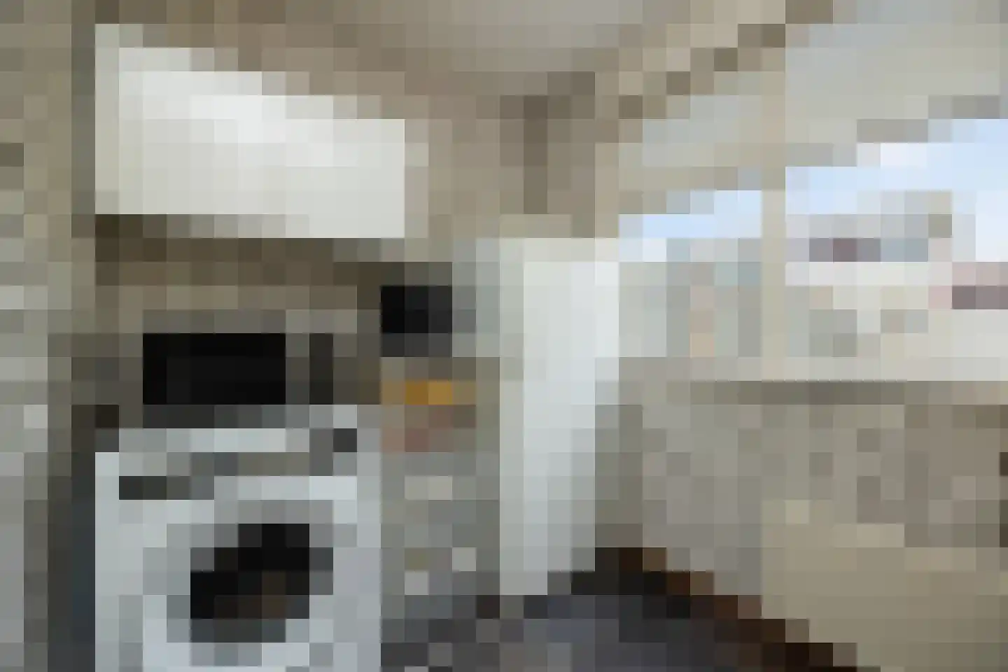 Nieuwe Nieuwstraat 83 Boxtel thumbnail 13