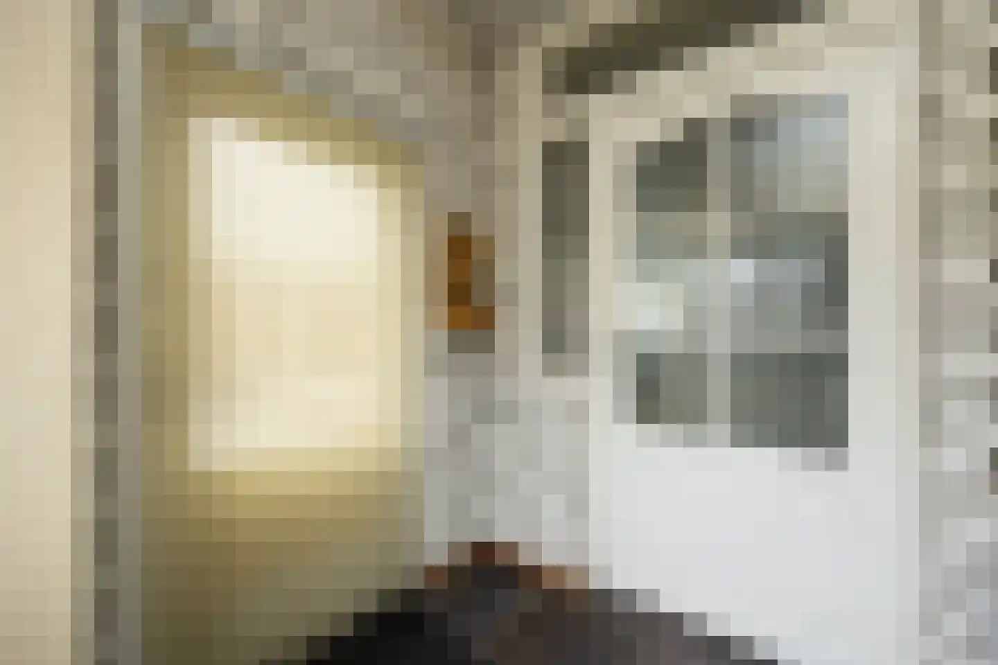 Nieuwe Nieuwstraat 83 Boxtel thumbnail 14