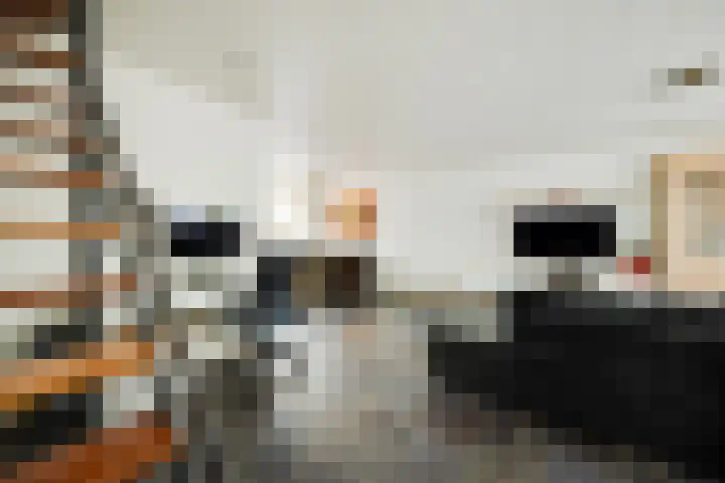 Nieuwe Nieuwstraat 83 Boxtel thumbnail 19