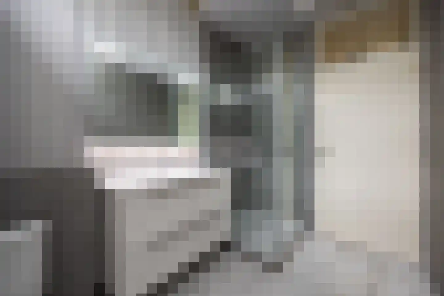 Nieuwe Nieuwstraat 83 Boxtel thumbnail 27