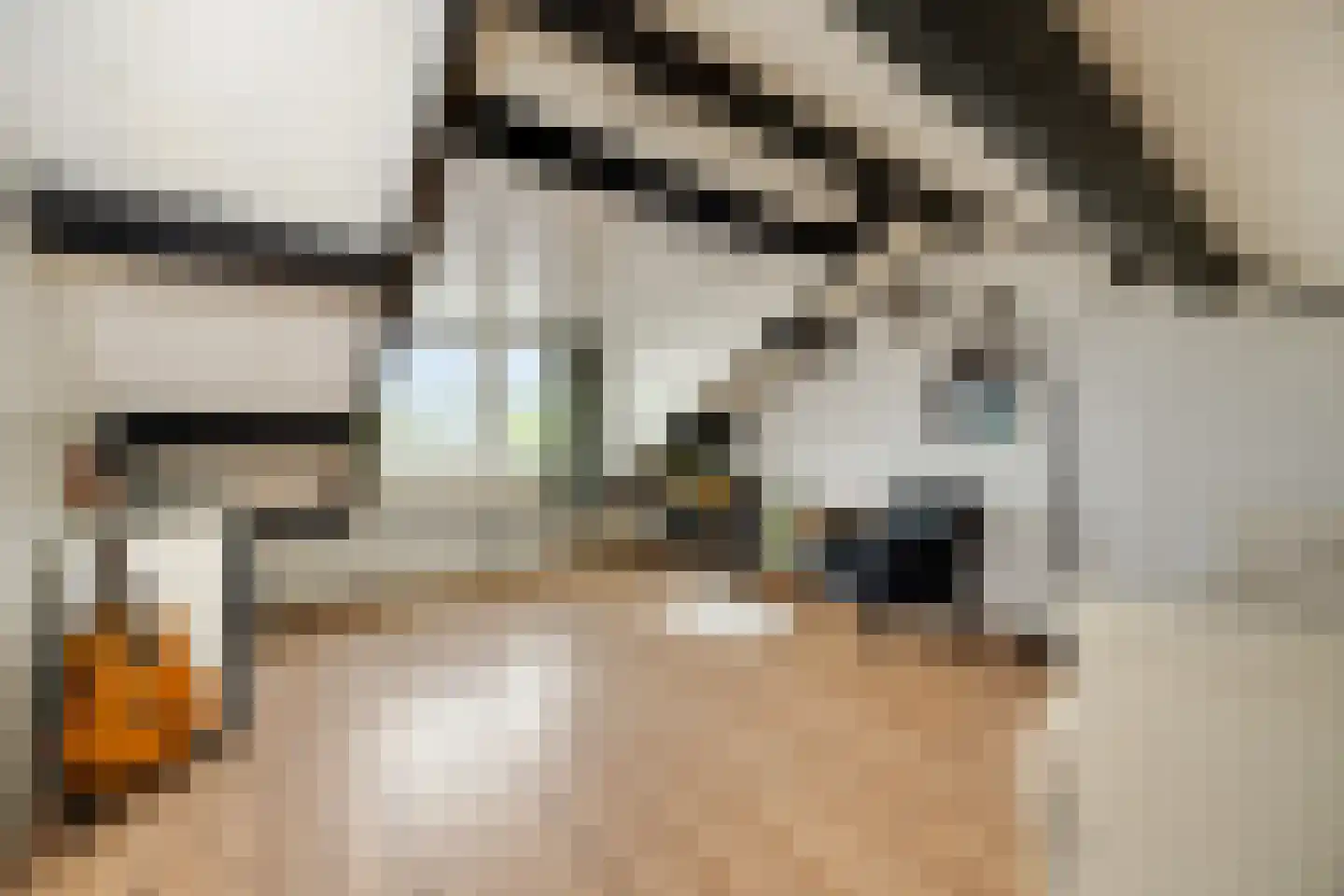 Nieuwe Nieuwstraat 83 Boxtel thumbnail 29