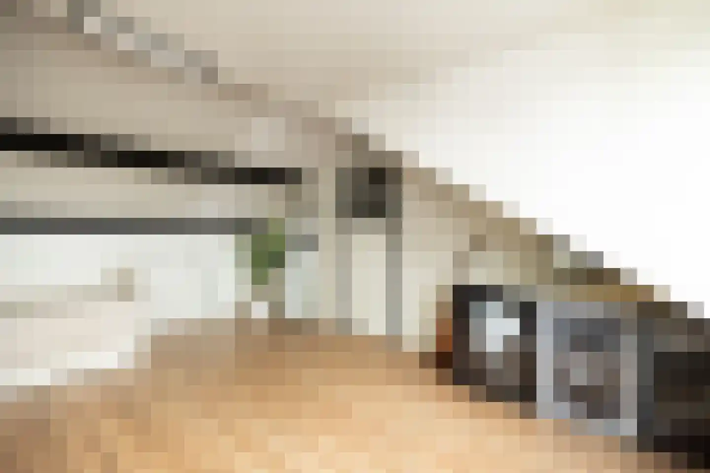 Nieuwe Nieuwstraat 83 Boxtel thumbnail 31