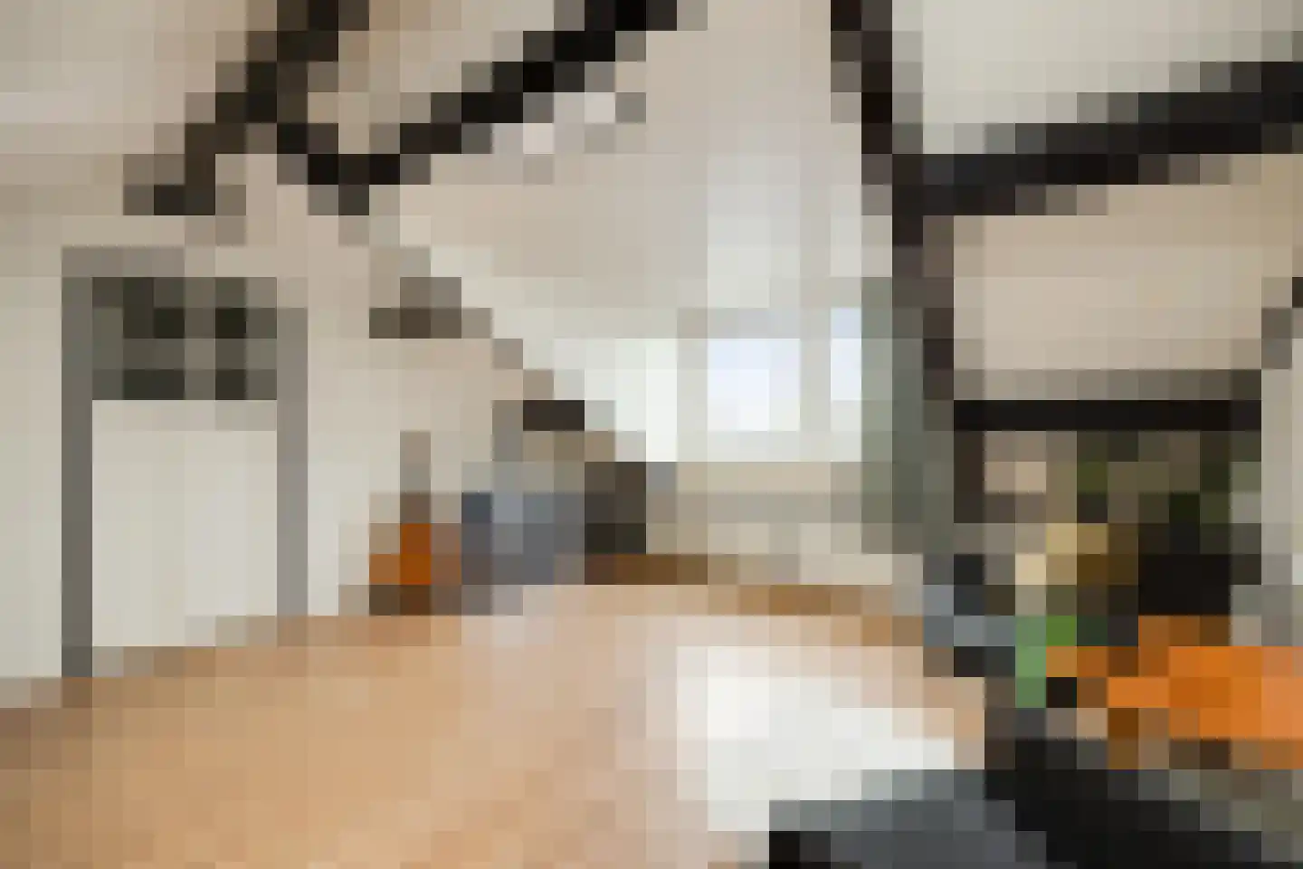 Nieuwe Nieuwstraat 83 Boxtel thumbnail 32