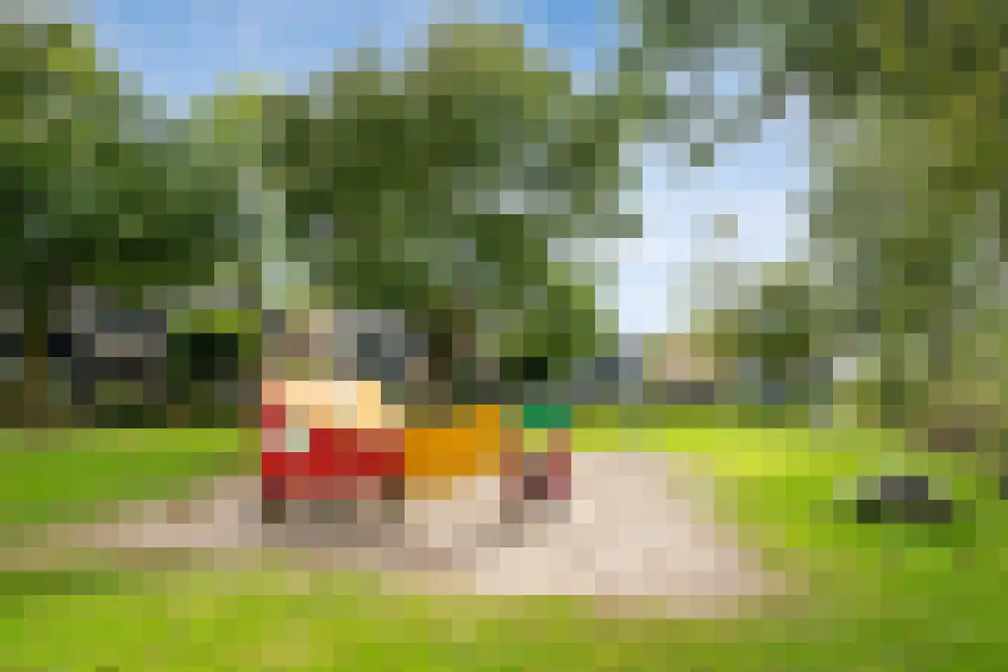 Nieuwe Nieuwstraat 83 Boxtel thumbnail 40