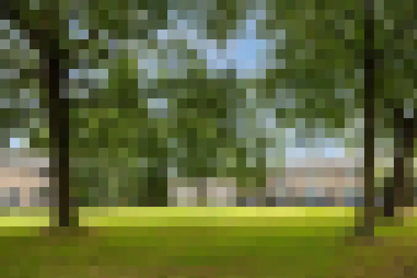 Nieuwe Nieuwstraat 83 Boxtel thumbnail 41