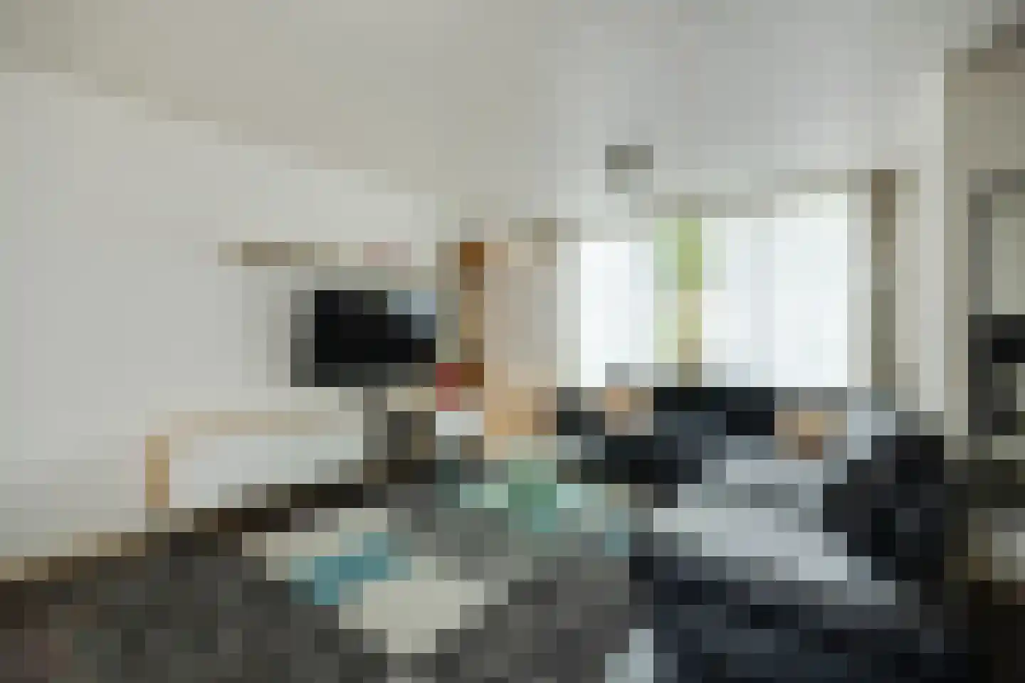 Nieuwe Nieuwstraat 83 Boxtel thumbnail 5
