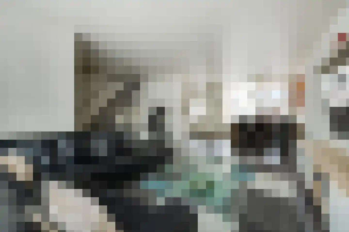 Nieuwe Nieuwstraat 83 Boxtel thumbnail 7