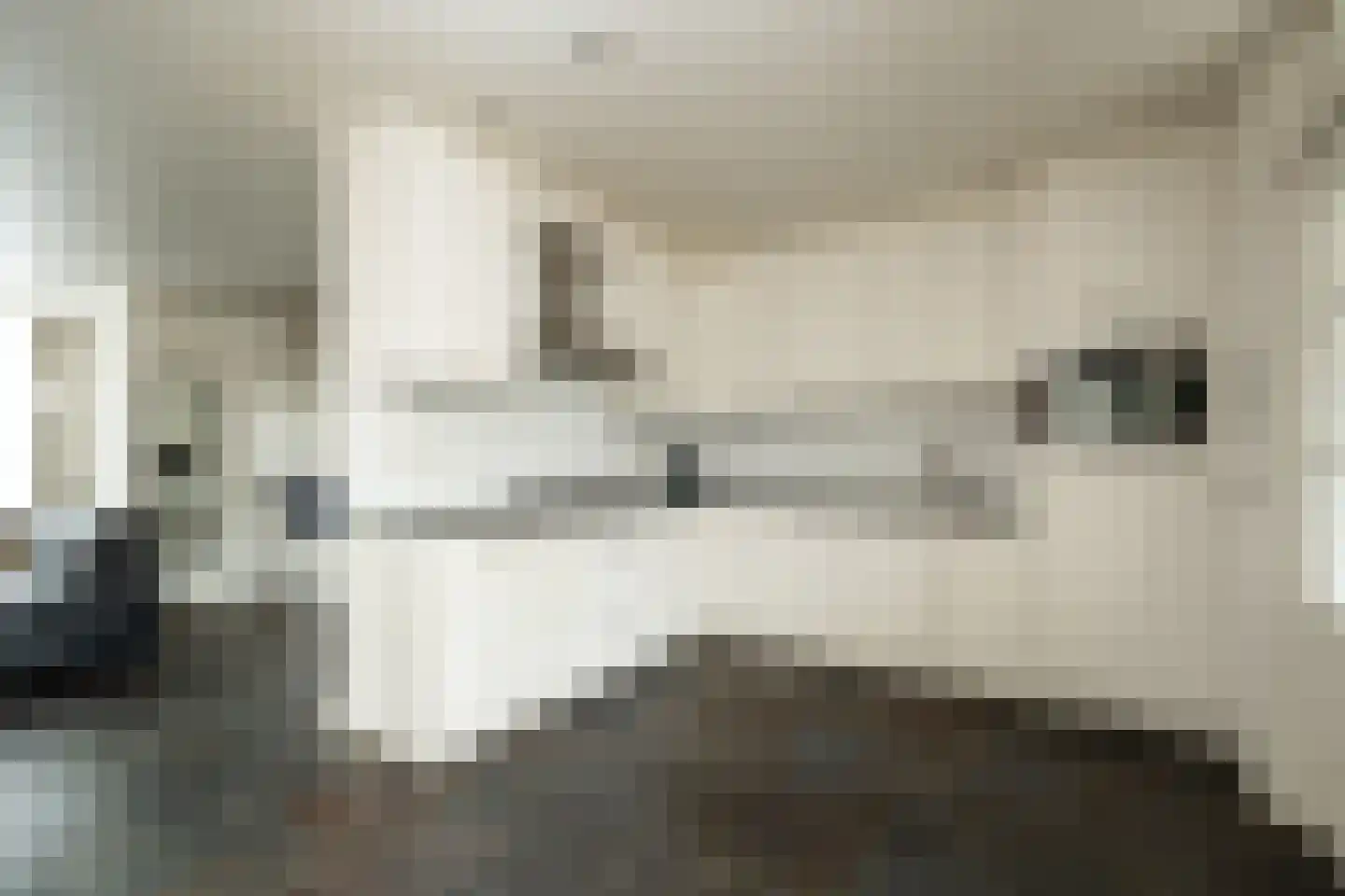 Nieuwe Nieuwstraat 83 Boxtel thumbnail 9