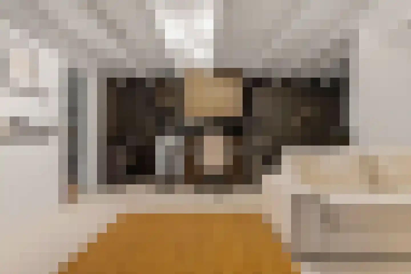 Nieuwe Nonnendaalseweg 107 Nijmegen thumbnail 34