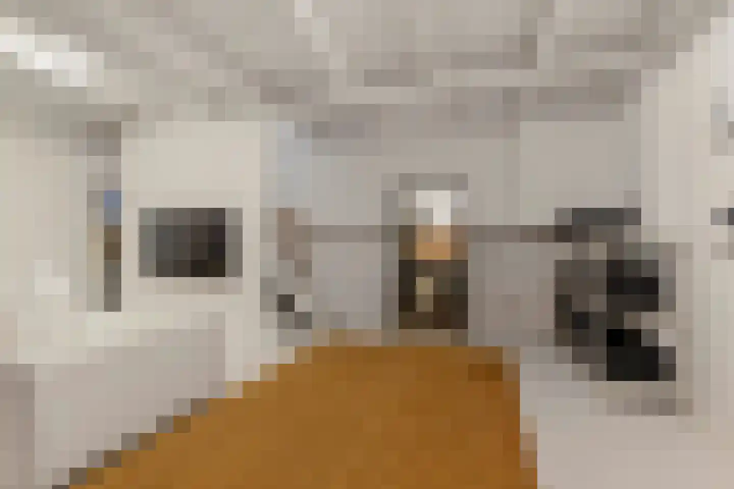 Nieuwe Nonnendaalseweg 107 Nijmegen thumbnail 36