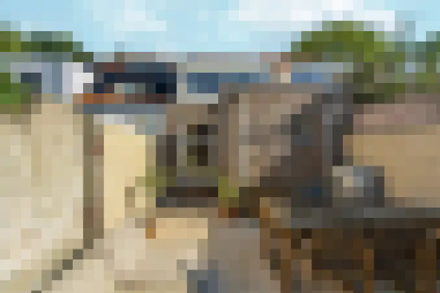 Nieuwe Nonnendaalseweg 107 Nijmegen thumbnail 39