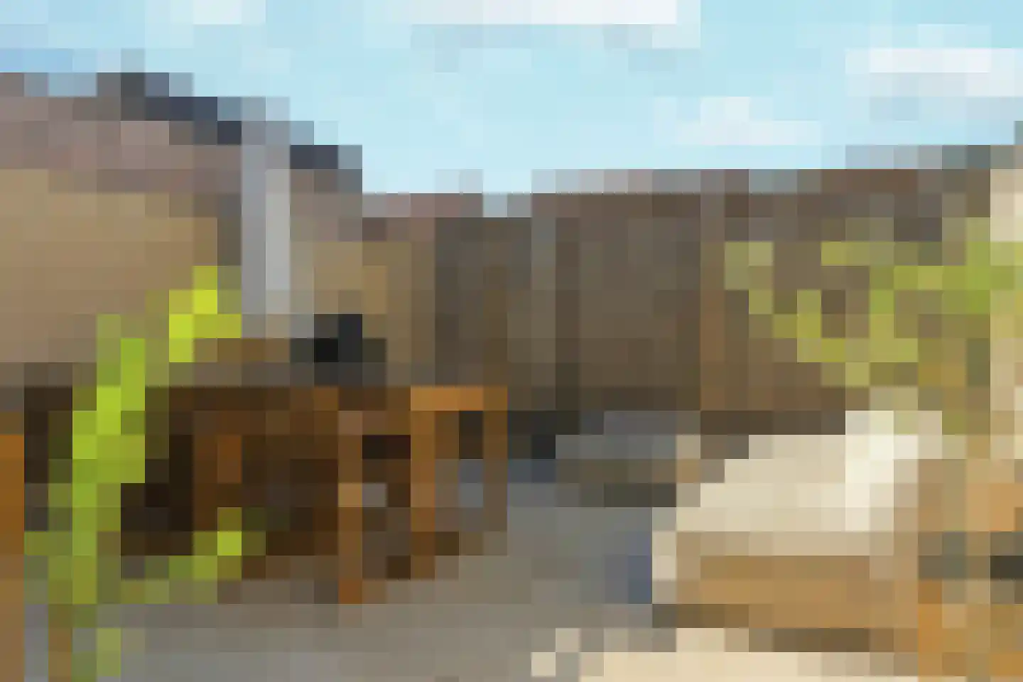 Nieuwe Nonnendaalseweg 107 Nijmegen thumbnail 44