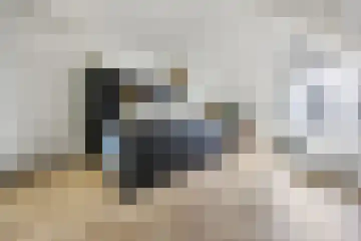 Nieuwe Nonnendaalseweg 165 Nijmegen thumbnail 16