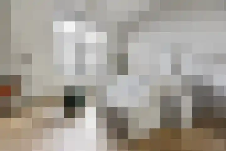 Nieuwe Nonnendaalseweg 165 Nijmegen thumbnail 17