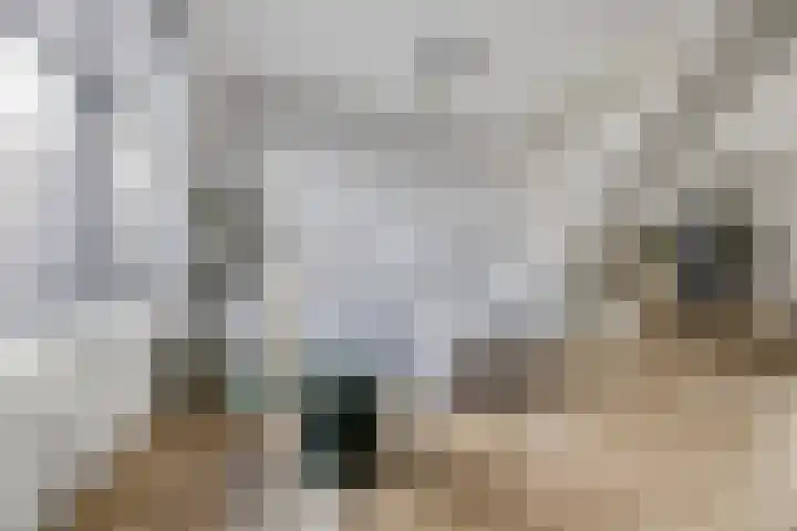 Nieuwe Nonnendaalseweg 165 Nijmegen thumbnail 19