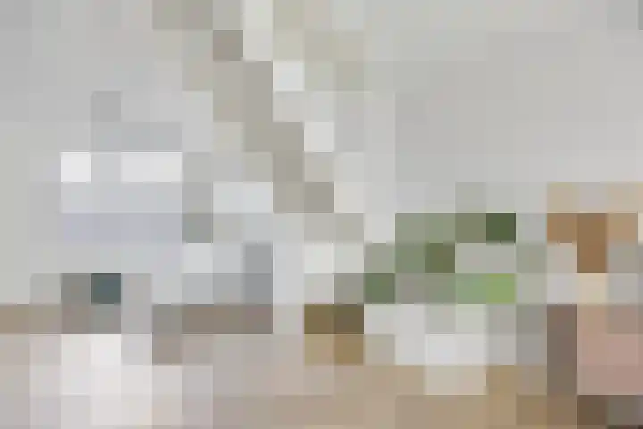 Nieuwe Nonnendaalseweg 165 Nijmegen thumbnail 20