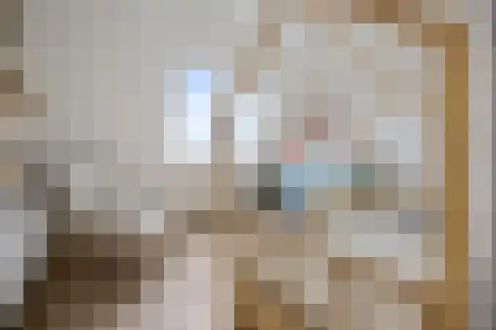 Nieuwe Nonnendaalseweg 165 Nijmegen thumbnail 22