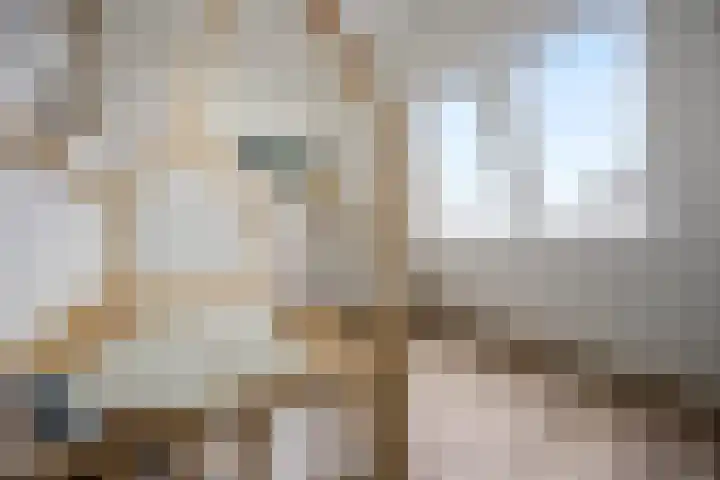 Nieuwe Nonnendaalseweg 165 Nijmegen thumbnail 24