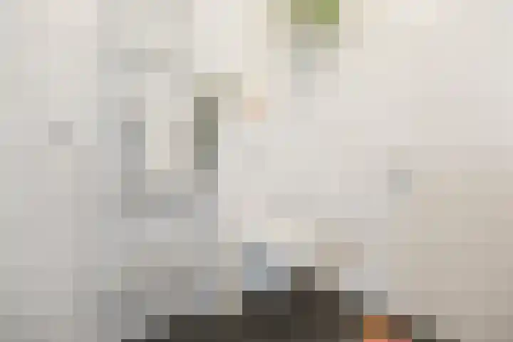 Nieuwe Nonnendaalseweg 165 Nijmegen thumbnail 31