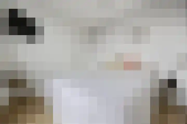 Nieuwe Nonnendaalseweg 165 Nijmegen thumbnail 36