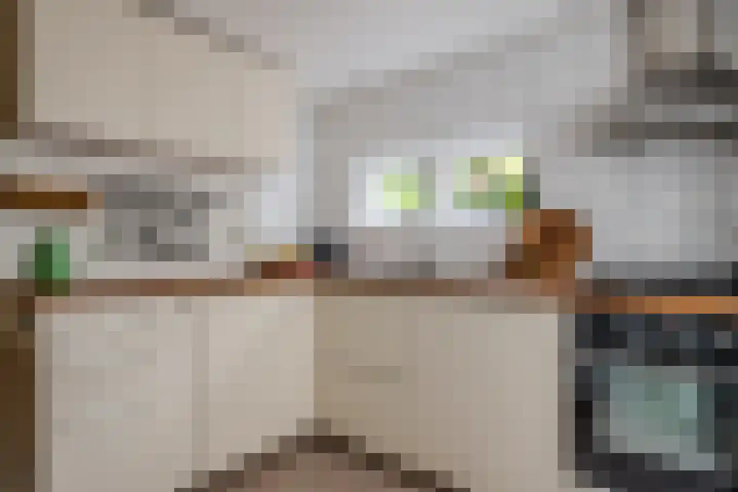 Nieuwe Nonnendaalseweg 362 Nijmegen thumbnail 14